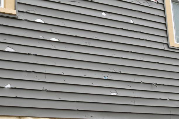 Professional Siding in Village Of Waukesha, WI